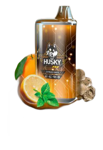 HUSKY CYBER 8000 Citrus Days / Апельсин, лимон, перечная мята, лёд
