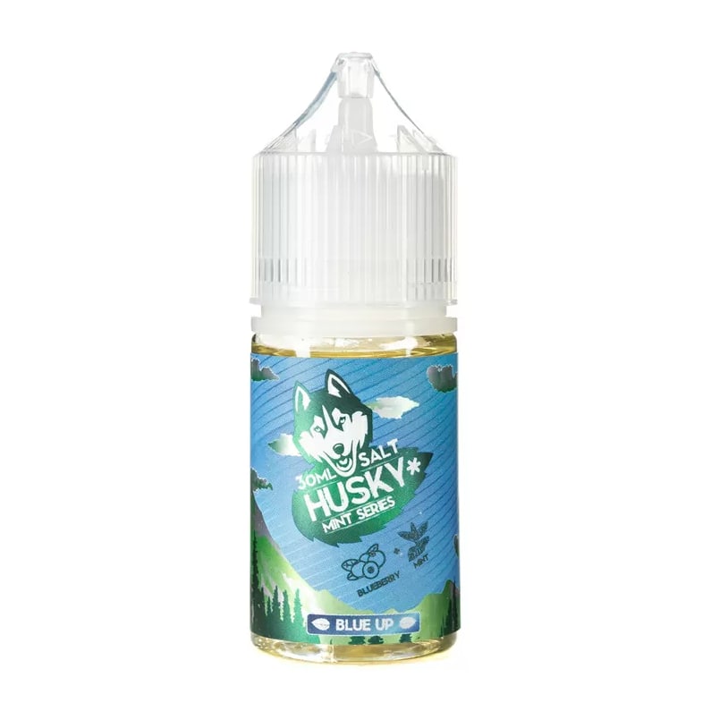 Husky mint series SALT 30 мл Blue Up (Мята голубика)