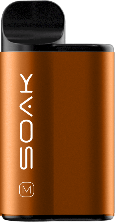 SOAK M Cinnamon Bun (Булочка с корицей)