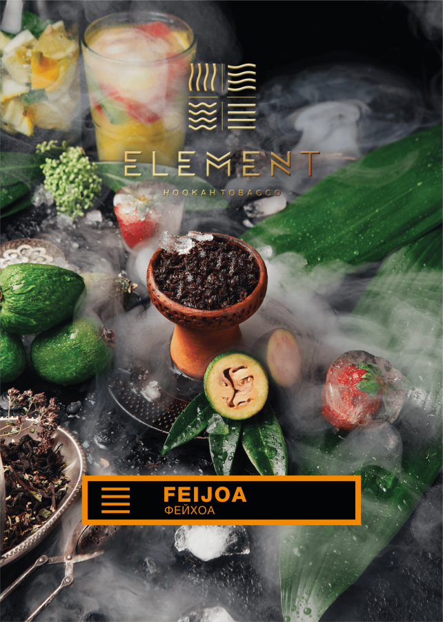 Element Земля Фейхоа (Feijoa), 40 гр