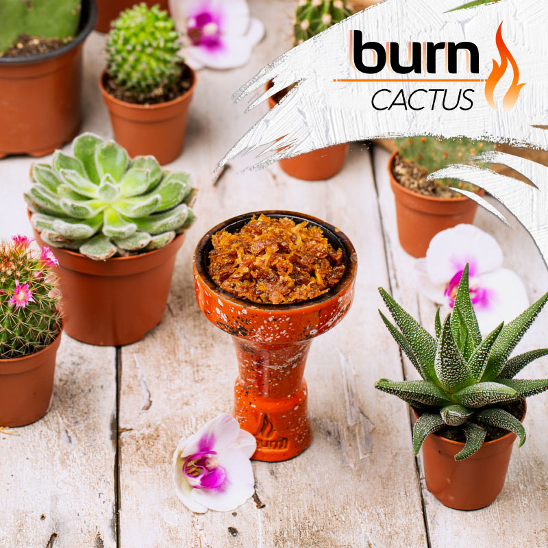 Табак Burn Cactus