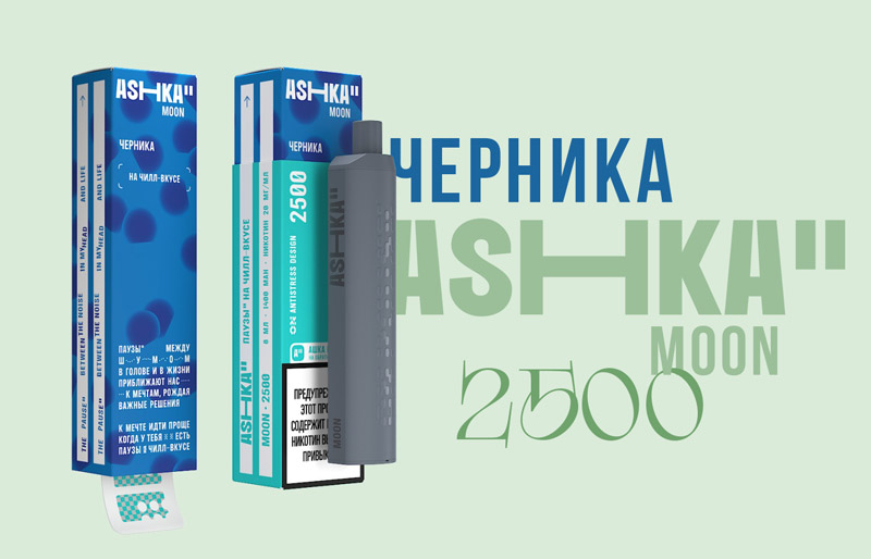 Одноразка ASHKA MOON 2500 Черника