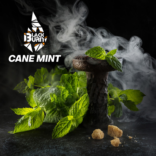 Табак Black Burn Cane Mint 