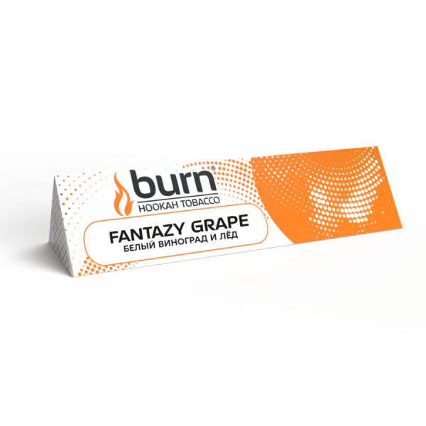 Burn Fantazzy Grape (Белый виноград и лёд) 25 гр
