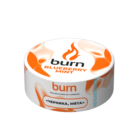 Burn Blueberry Mint (Черника и мята) 25 гр