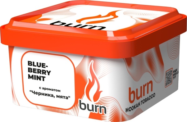 Burn Blueberry Mint (Черника и мята) 200 гр