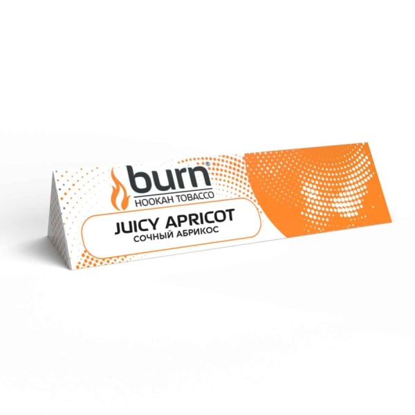 Burn Juice Apricot (Сочный абрикос) 25 гр