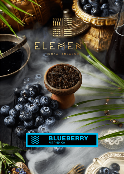 Element Вода Черника (Blueberry), 100 гр